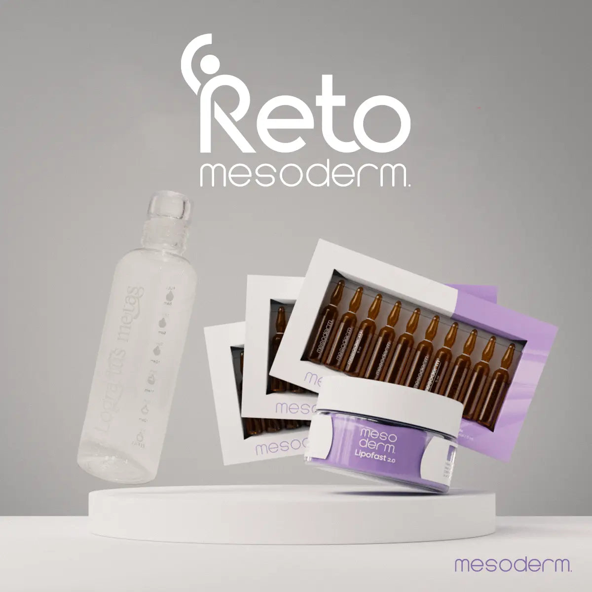 Reto Mesoderm