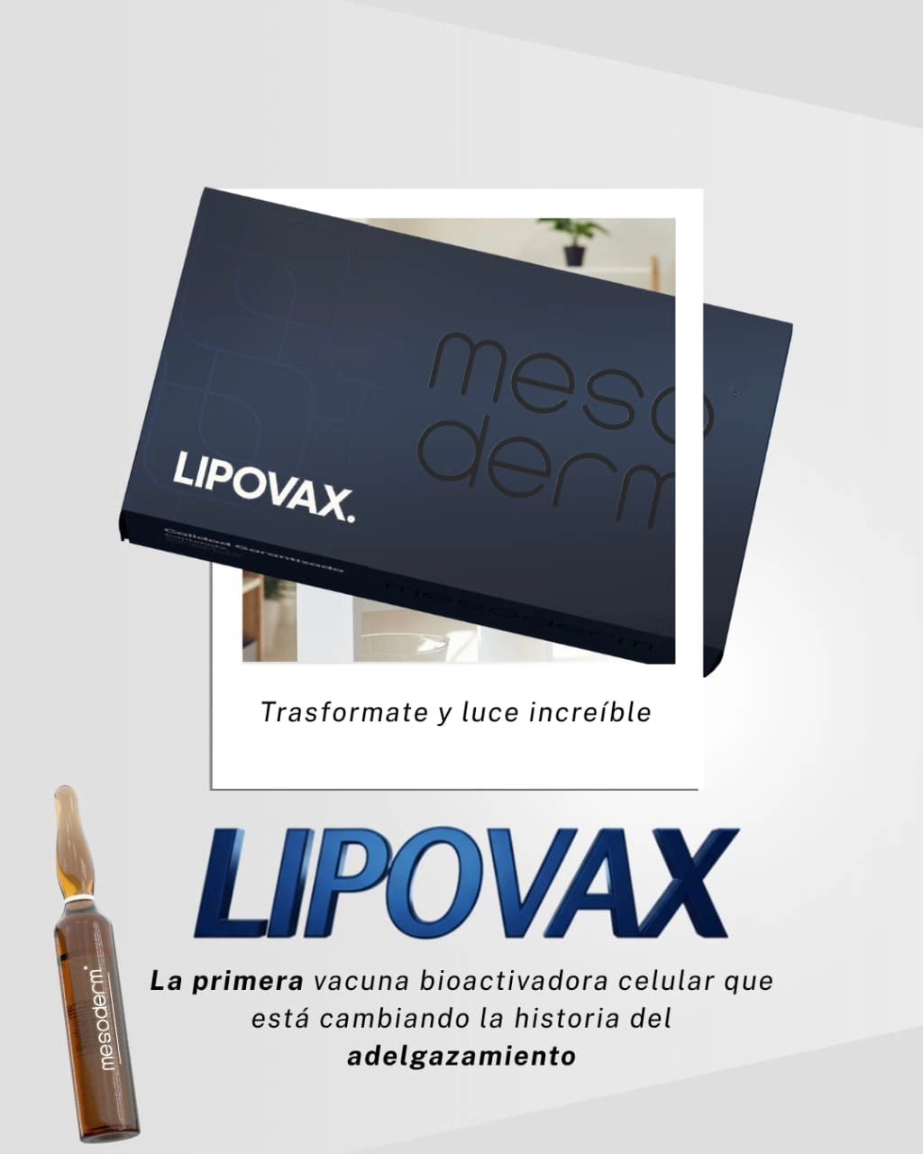 LIPOVAX Caja 30 Ampolletas